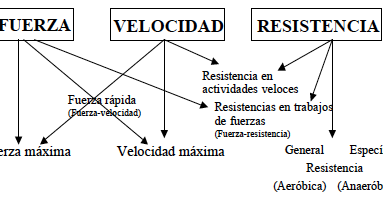 Capacidades fisicas condicionales velocidad fuerza resistencia y flexibilidad